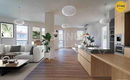 Prodej bytu 4+kk 123 m², Mlýnská, Prostějov