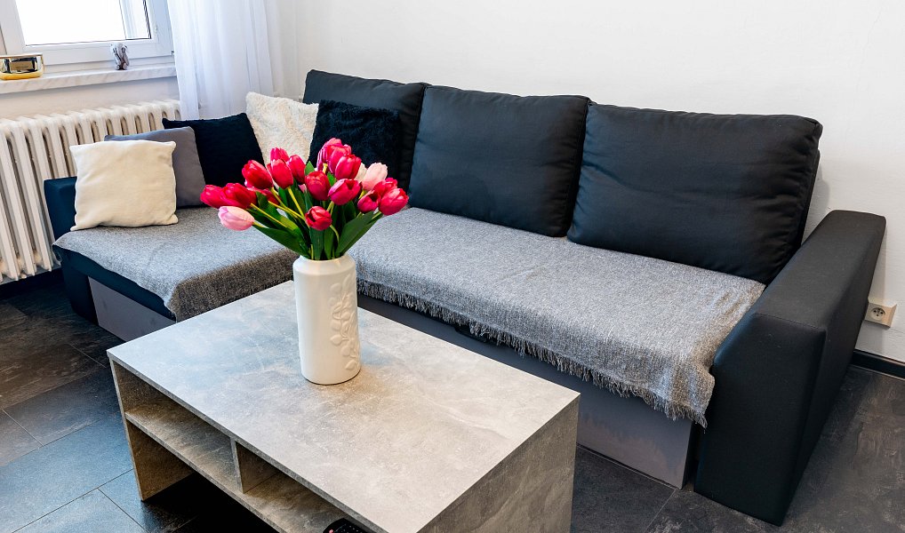 Prodej bytu 1+kk 31 m², Český Těšín – náhled fotky 5
