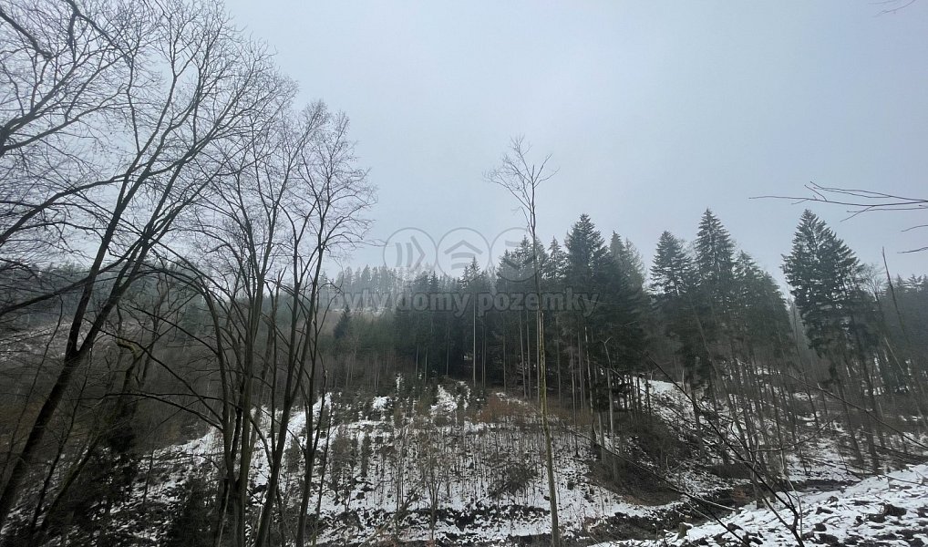 Prodej lesa 12 219 m², Záhoří – náhled fotky 5