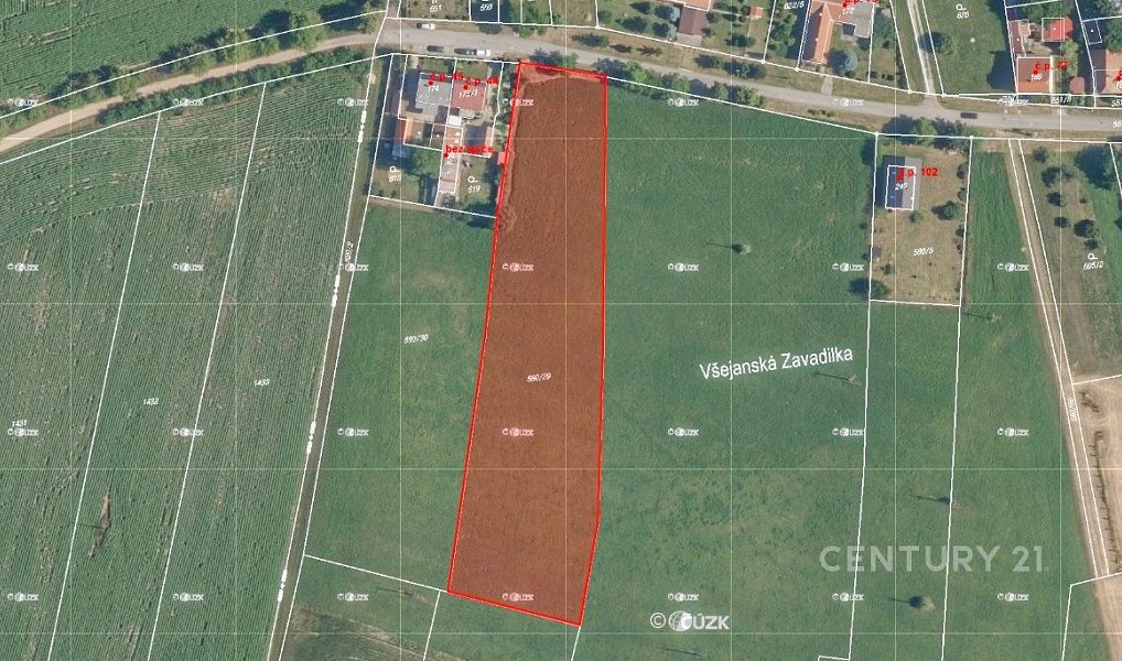 Prodej stavebního pozemku 5 553 m², Jizbice – náhled fotky 16