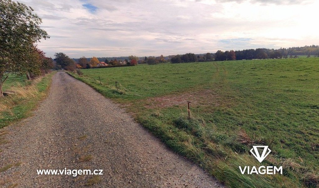 Prodej pole 28 806 m², Nasavrky – náhled fotky 3