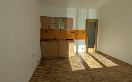 Pronájem bytu 1+kk 23 m², Čs. armády, Louny