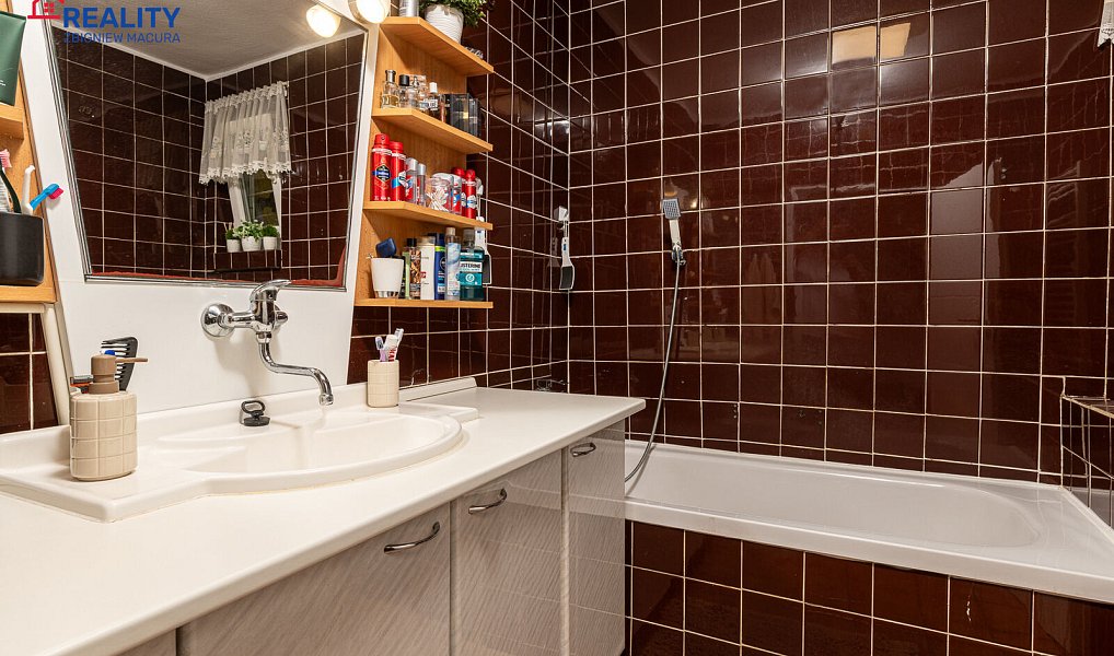 Prodej domu 290 m² s pozemkem 1 830 m², Dětmarovice – náhled fotky 17