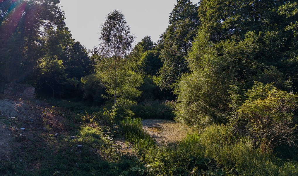 Prodej domu 440 m² s pozemkem 3 345 m², Červená Voda – náhled fotky 22