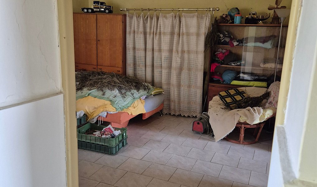 Prodej domu 70 m² s pozemkem 1 811 m², Bukovany – náhled fotky 11