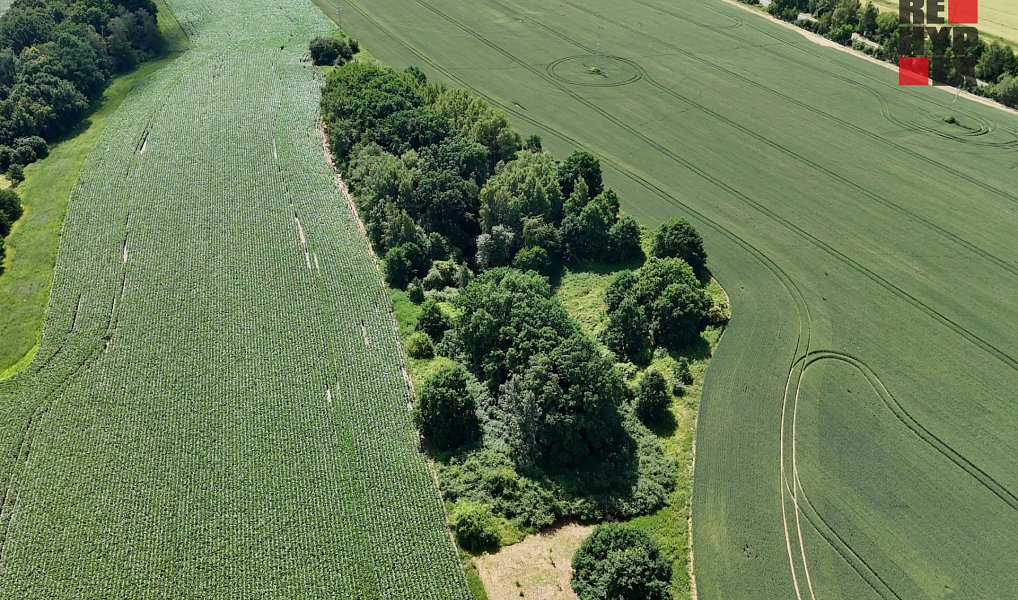 Prodej lesa 15 525 m², Hrádek nad Nisou – náhled fotky 4