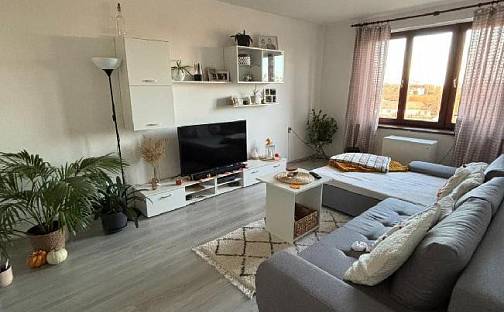 Prodej bytu 3+1 75 m², Samšín, okres Pelhřimov