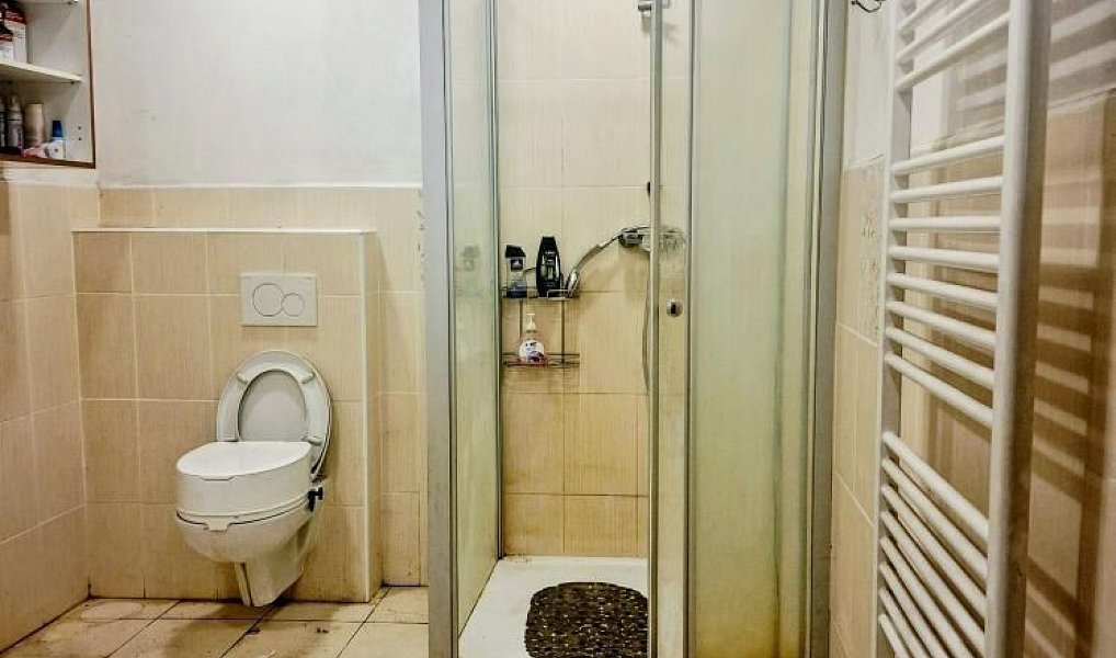 Prodej zemědělského objektu 250 m², Loučany – náhled fotky 16