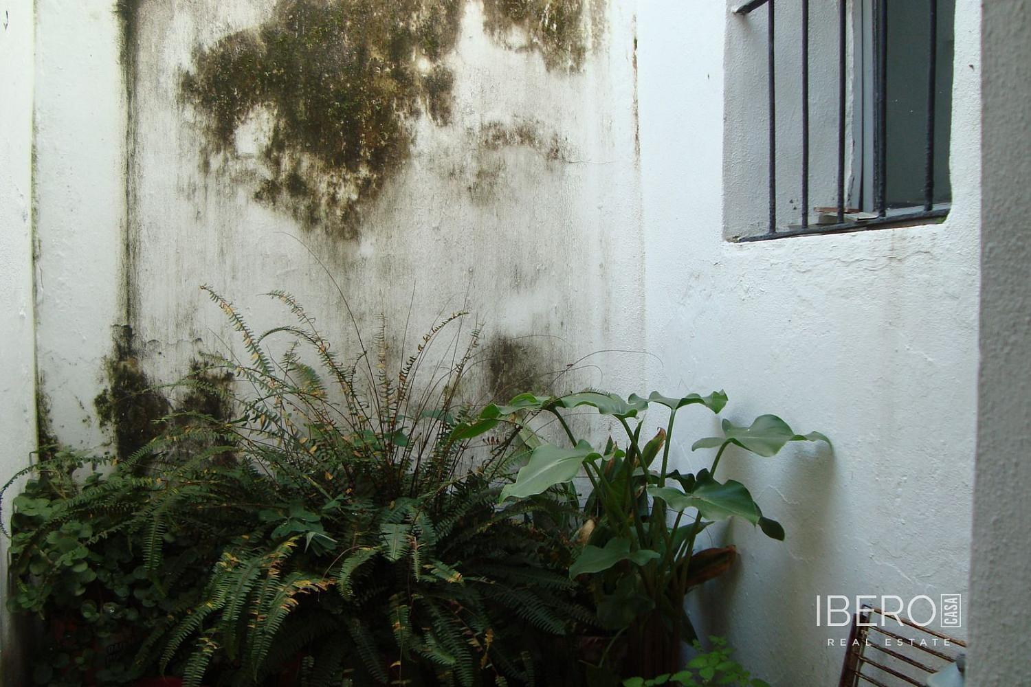 Prodej domu 120 m² s pozemkem 120 m² — photo 4