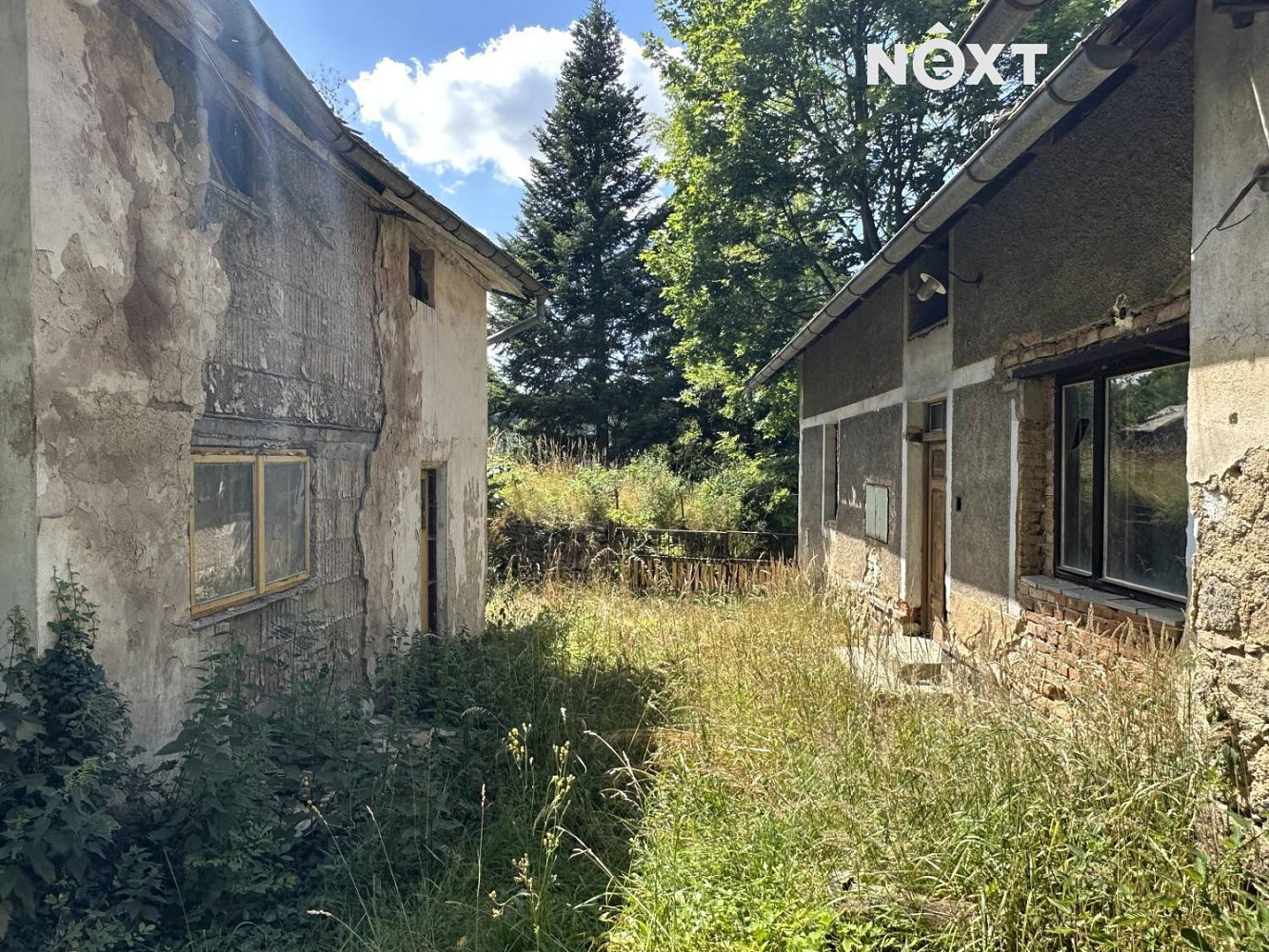 Prodej domu 300 m² s pozemkem 3 975 m² — photo 5
