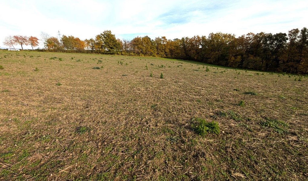 Prodej stavebního pozemku 3 986 m², Strakonice – náhled fotky 6