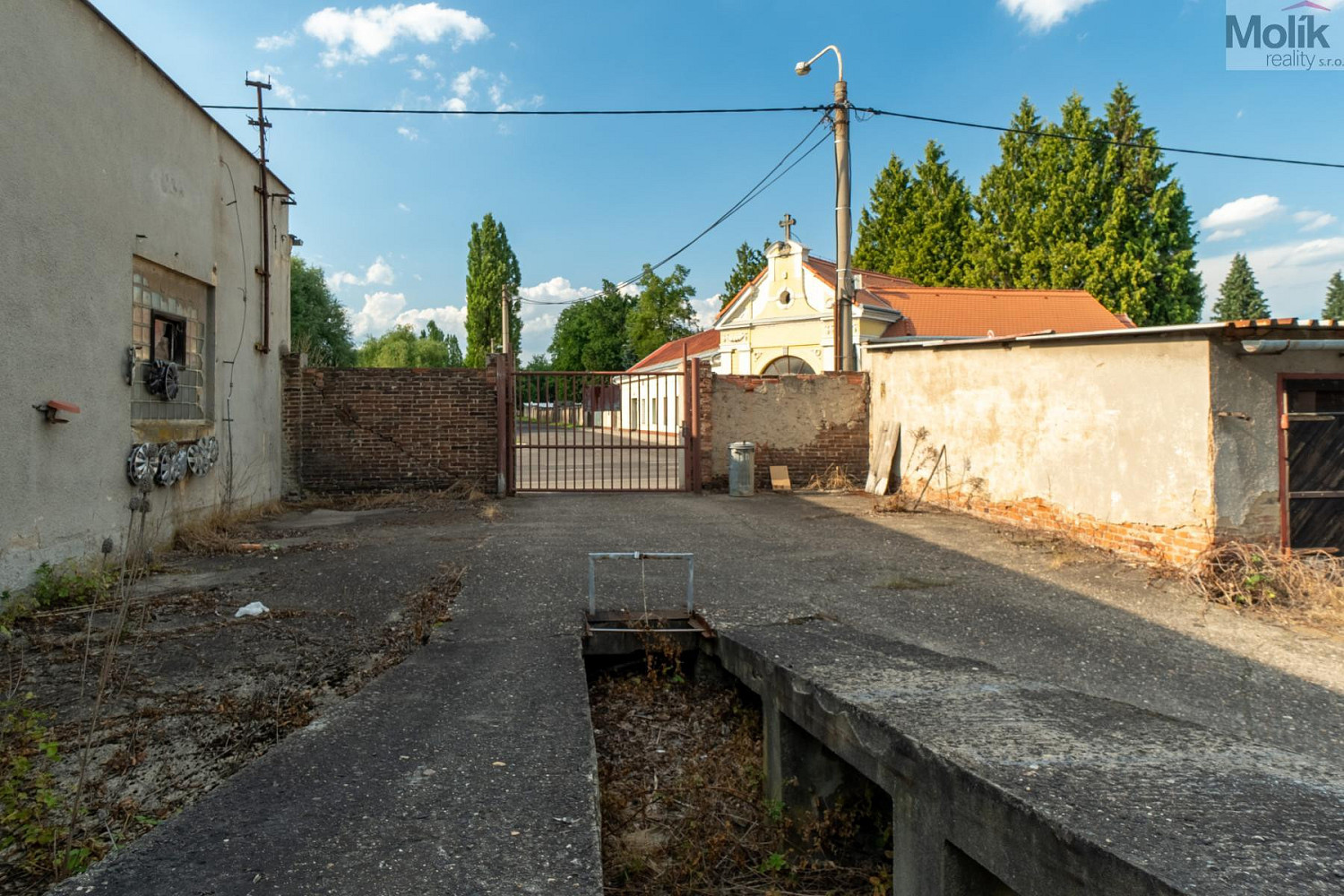 Fotka 9 z 10