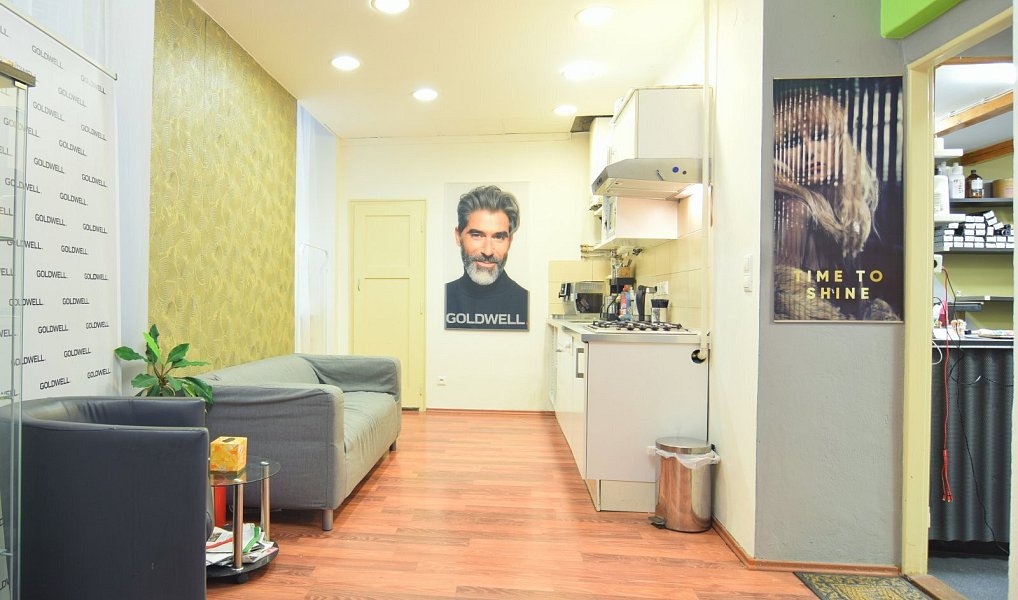 Prodej bytu 2+1 66 m², Brno – náhled fotky 9