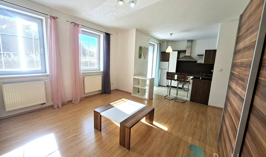 Pronájem bytu 1+kk 40 m², Dobrá Voda u Českých Budějovic – náhled fotky 4