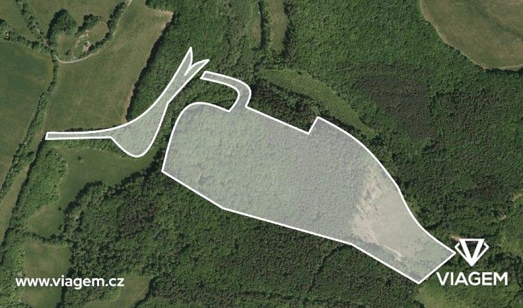Prodej lesa 647 m², Bojkovice – náhled fotky 2