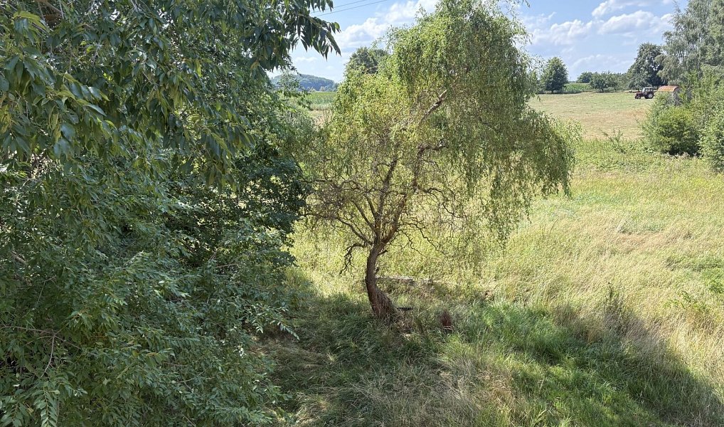 Prodej domu 200 m² s pozemkem 482 m², Františkovy Lázně – náhled fotky 7