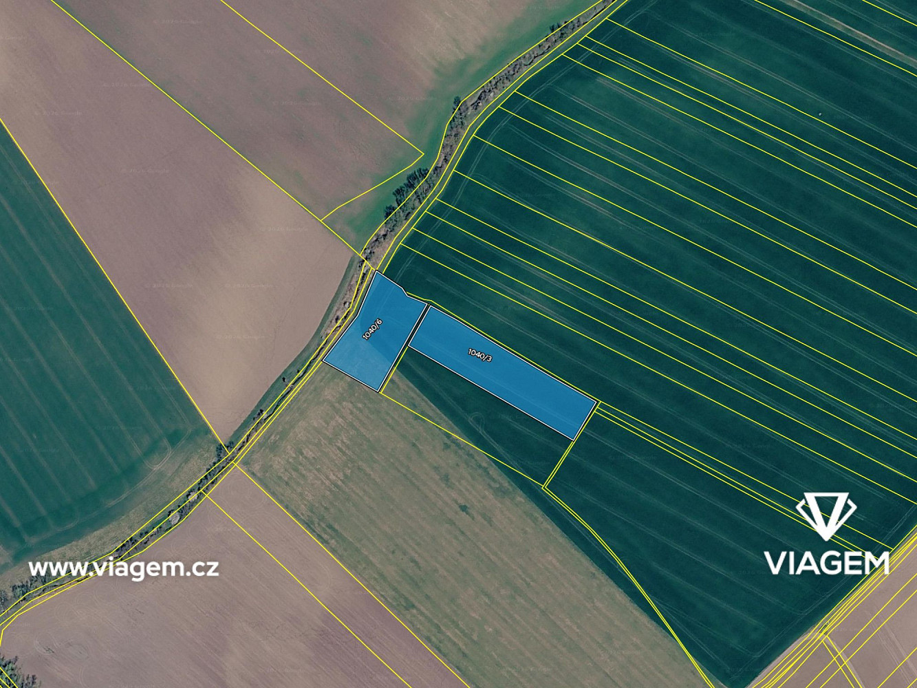 Prodej pole 1 375 m² — photo 4