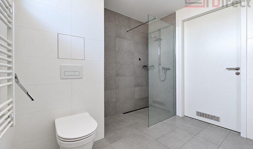 Pronájem bytu 1+kk 48 m², Mladá Boleslav – náhled fotky 5