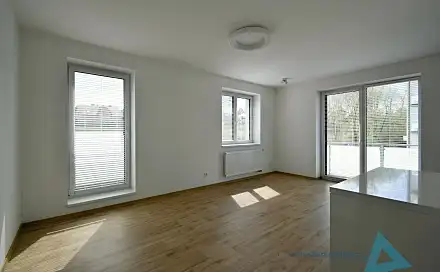 Pronájem bytu 1+kk 47 m²