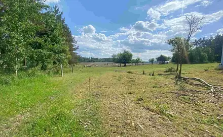 Dražba louky 2 300 m², Býkov-Láryšov