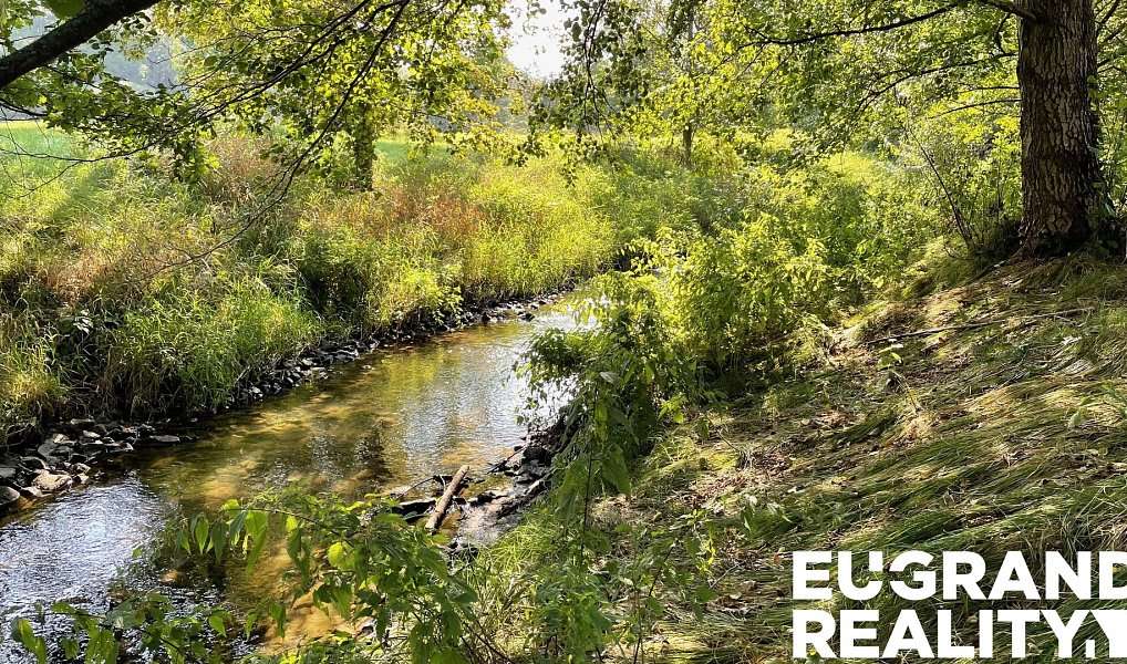 Prodej louky 14 798 m², Šluknov – náhled fotky 7