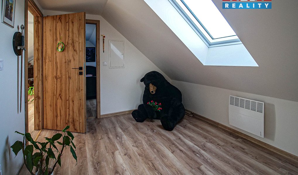 Prodej domu 620 m² s pozemkem 14 427 m², Velké Losiny – náhled fotky 25