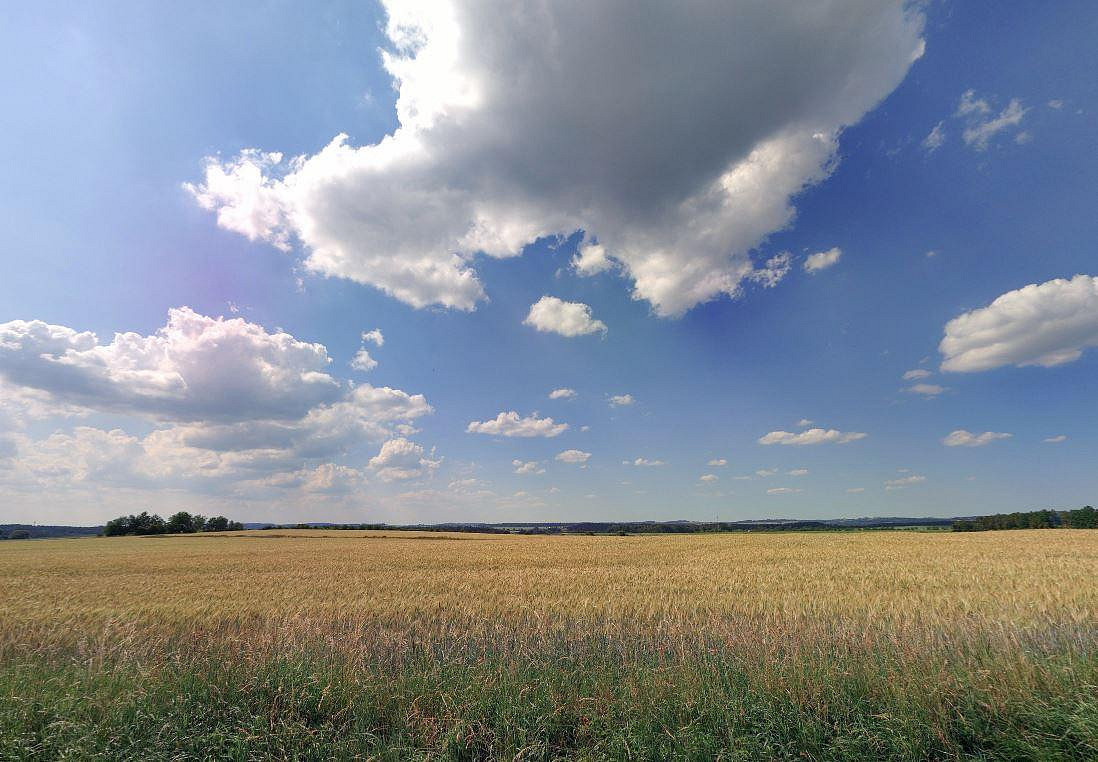 Prodej pole 5 480 m² – fotografie 4