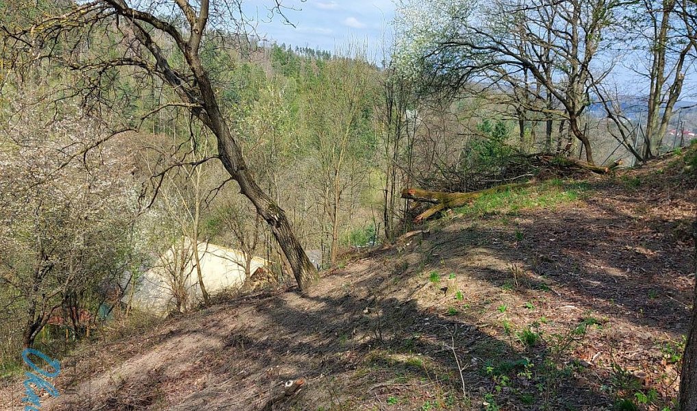 Prodej stavebního pozemku 1 778 m², Bílovice nad Svitavou – náhled fotky 2