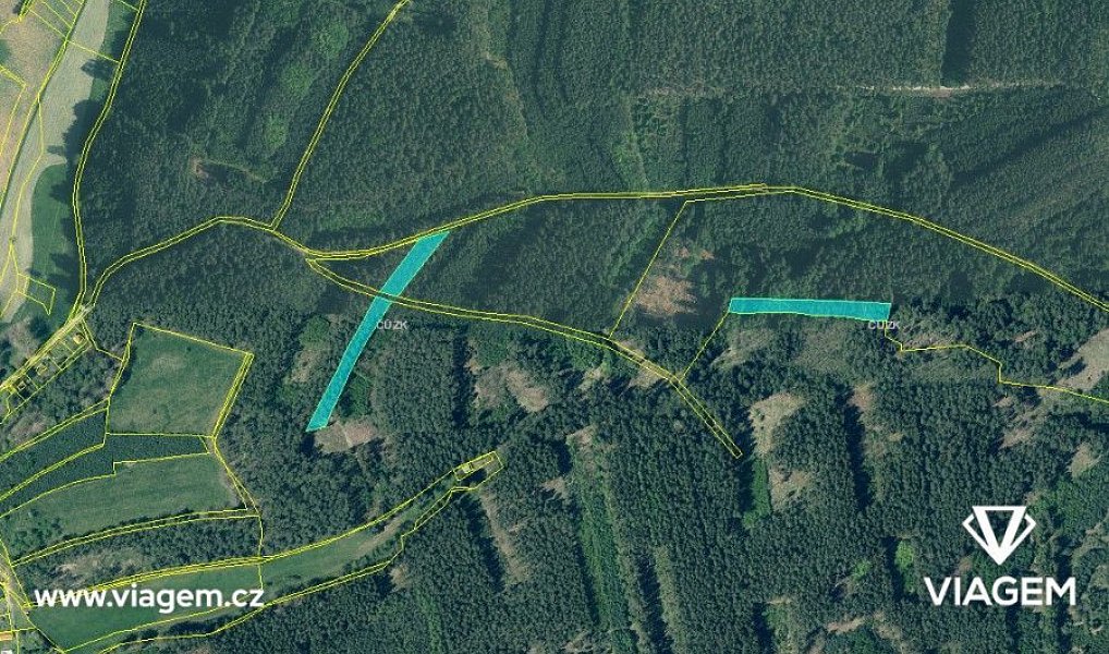 Prodej lesa 2 059 m², Líšťany – náhled fotky 3