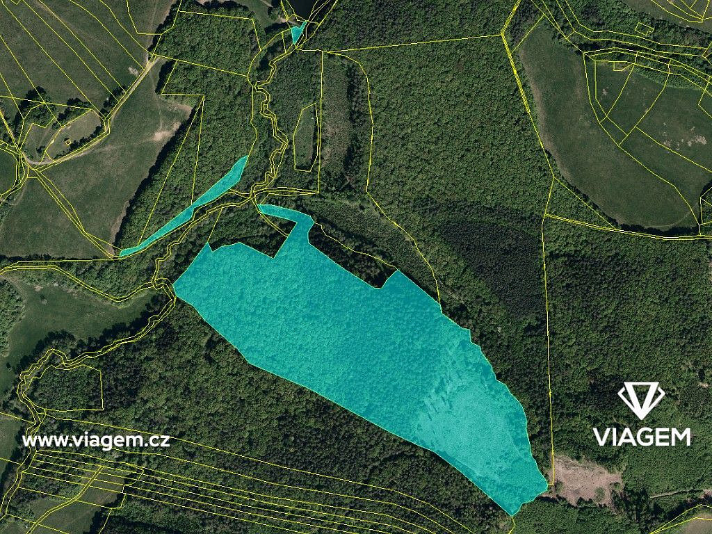 Prodej lesa 647 m² – fotografie 4