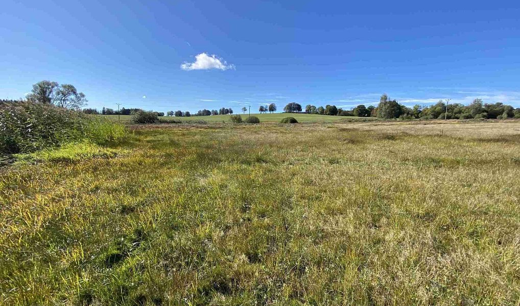 Prodej pole 4 706 m², Nový Rychnov – náhled fotky 3