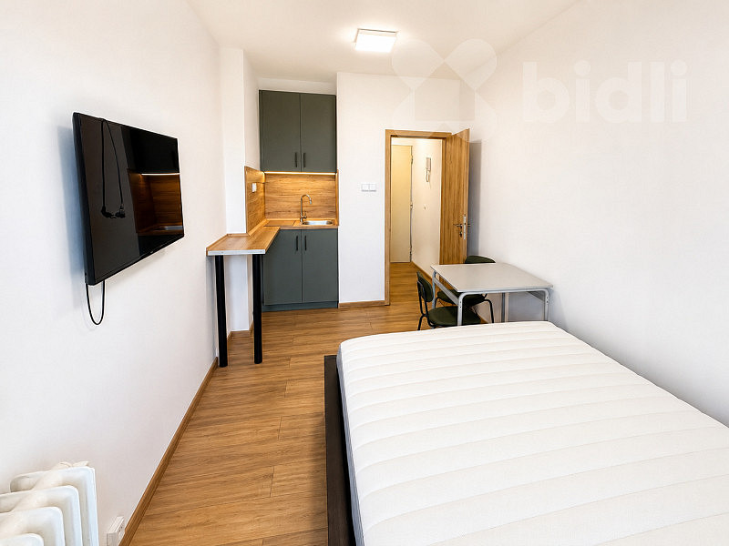 Pronájem bytu 1+kk 17 m² — photo 4