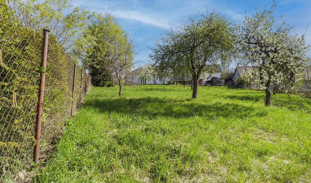 Prodej stavebního pozemku 631 m², Divišov – náhled fotky 5