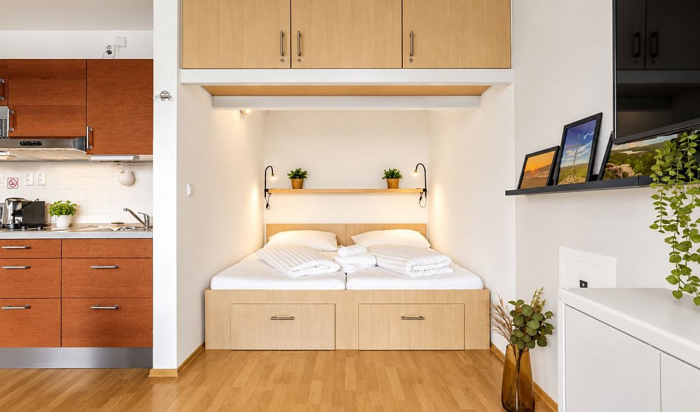 Prodej bytu 1+kk 33 m², Loučná pod Klínovcem – náhled fotky 7