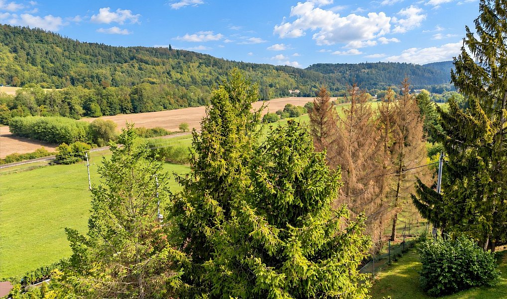 Prodej chaty/chalupy 110 m² s pozemkem 1 834 m², Ptení – náhled fotky 44
