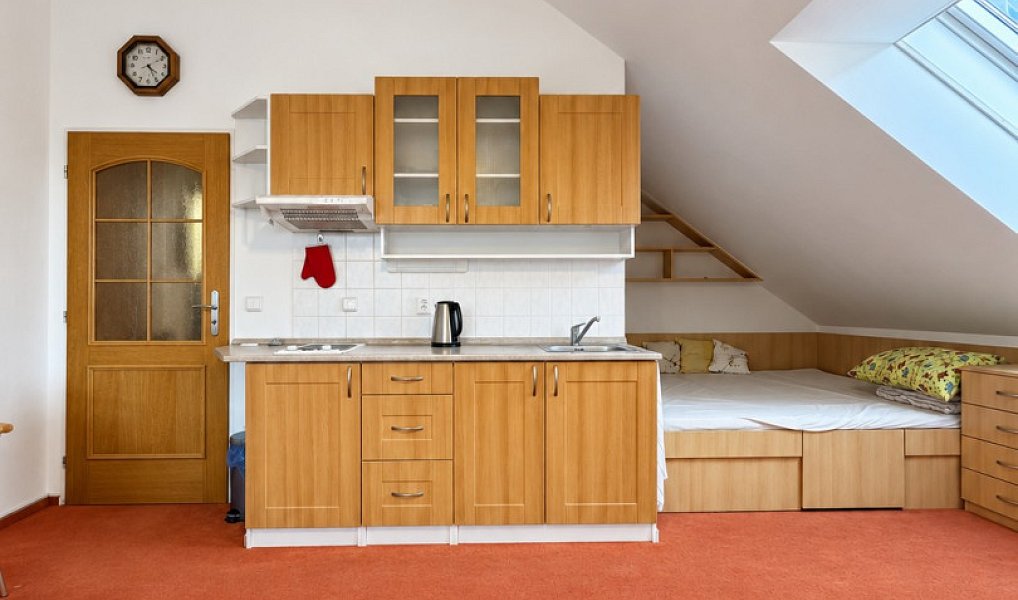 Prodej chaty/chalupy 39 m² s pozemkem 889 m², Loučná nad Desnou – náhled fotky 3