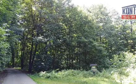 Prodej lesa 2 404 m², Hrabyně, okres Opava