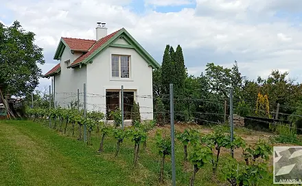 Prodej domu 56 m² s pozemkem 1 833 m², Dolní Kounice, okres Brno-venkov