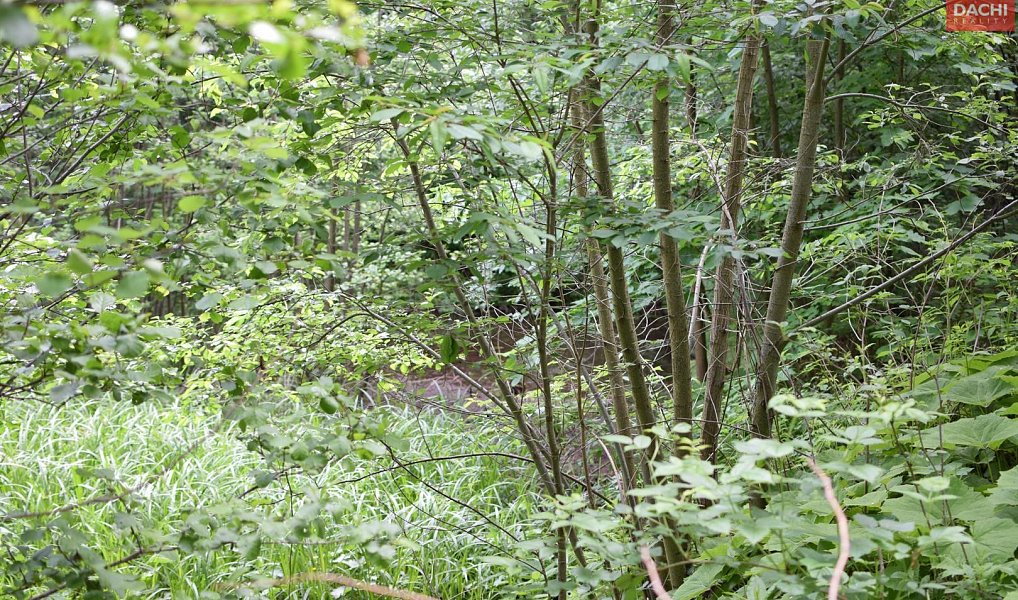Prodej pozemku 4 584 m², Horní Heřmanice – náhled fotky 9