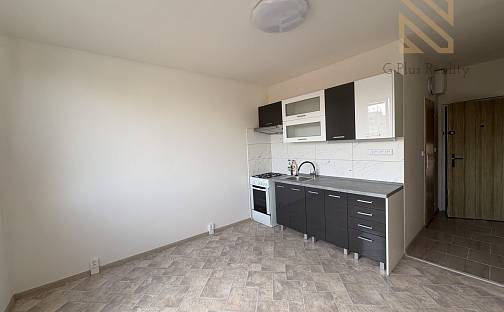 Pronájem bytu 1+1 36 m², Bílina, okres Teplice