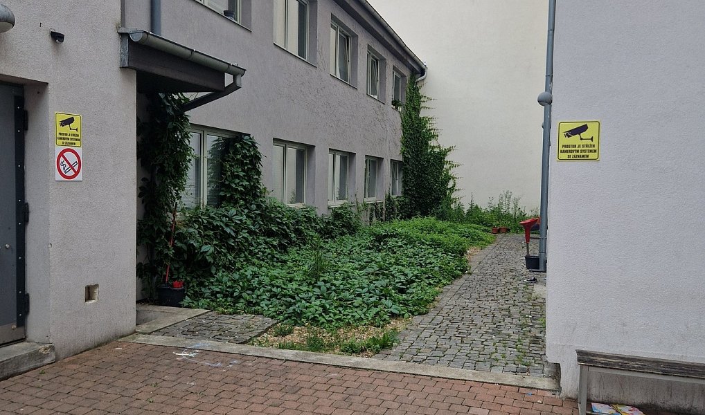 Prodej bytu 1+kk 23 m², Brno – náhled fotky 5