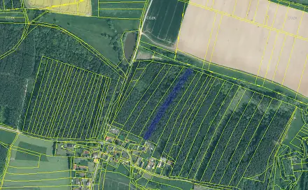 Prodej lesa 5 161 m², Dražíč, okres České Budějovice
