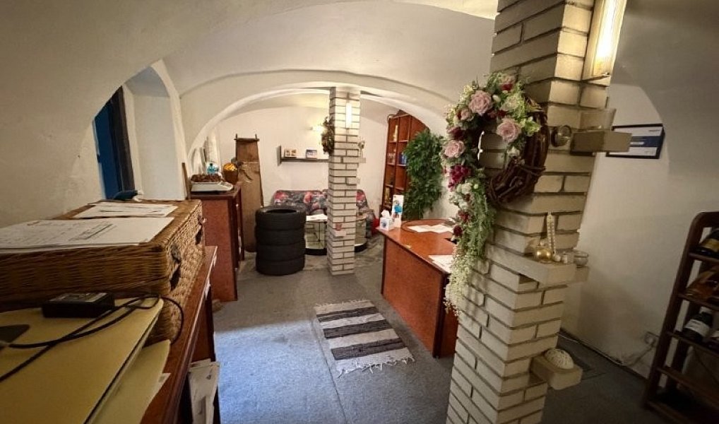 Prodej obchodních prostor 250 m², Pelhřimov – náhled fotky 13
