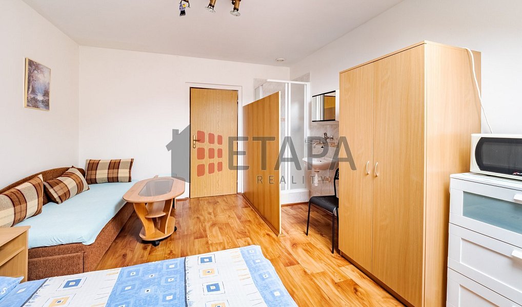 Prodej ubytovacího objektu 432 m², Ražice – náhled fotky 9