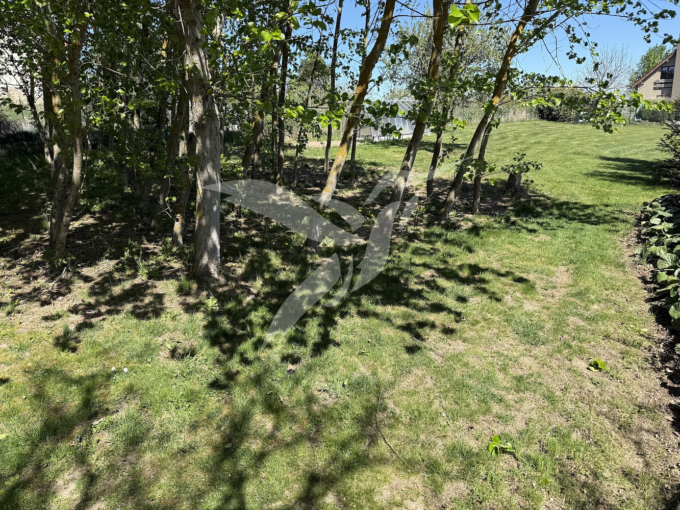 Fotka 6 z 10