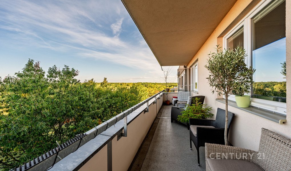 Prodej bytu 3+kk 90 m², Praha – náhled fotky 18