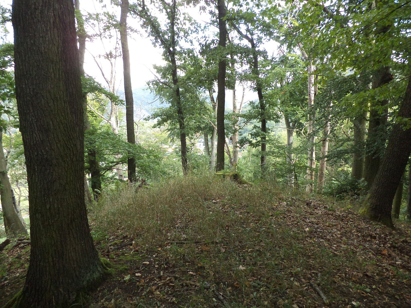 Prodej pole 14 517 m² — photo 4