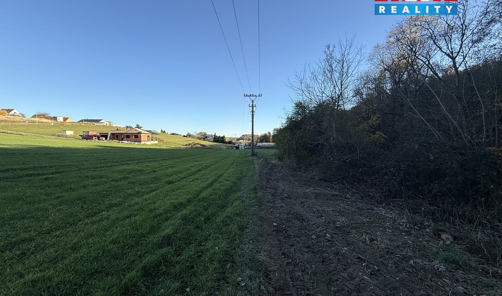 Prodej lesa 1 901 m², Velká Polom – náhled fotky 5