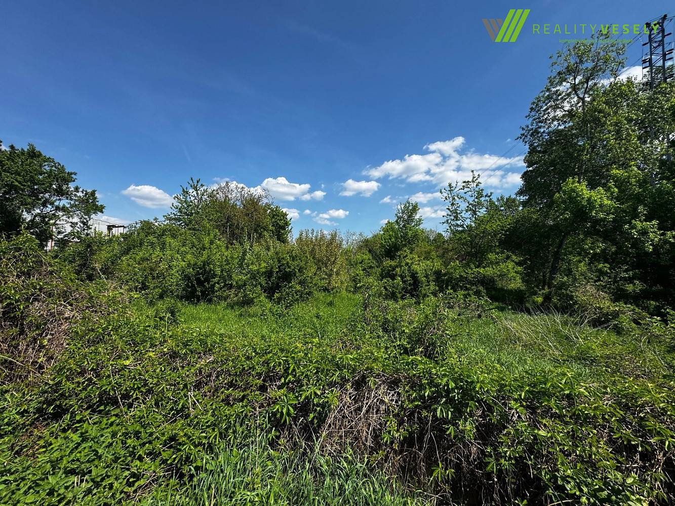 Pronájem pozemku 5 059 m² – fotografie 2