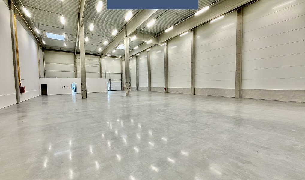 Pronájem skladovacích prostor 816 m², Řepov – náhled fotky 4